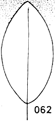 elliptic form